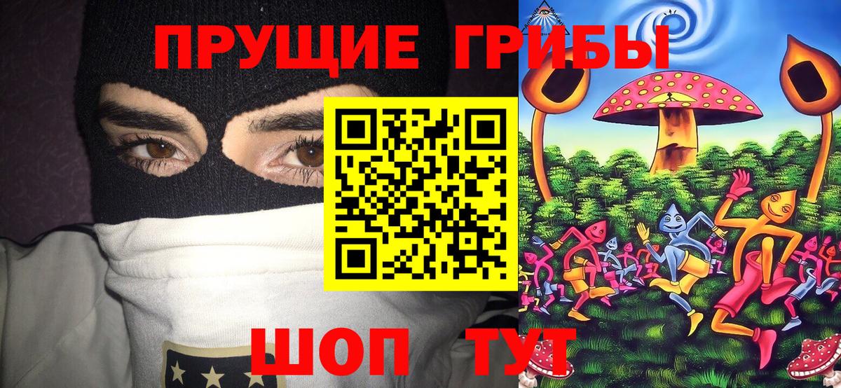Псилоцибиновые грибы мицелий  Вход с VPN  где можно купить наркотик  Еманжелинск  Галлюциногенные грибы прущие грибы 