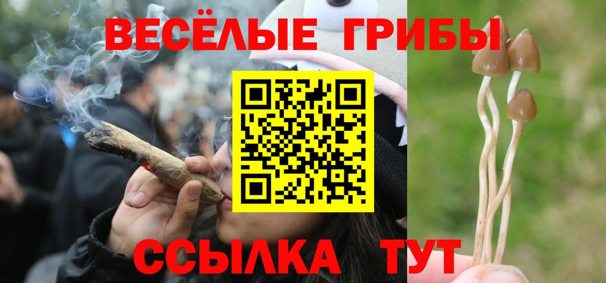 Галлюциногенные грибы GOLDEN TEACHER Еманжелинск