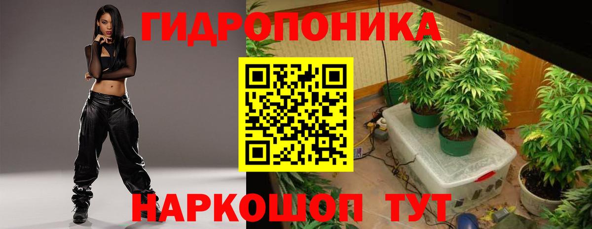 Каннабис сатива Еманжелинск